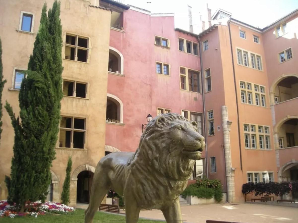 Les Jardins Du Gourguillon Apartment Lyon Bagian luar foto